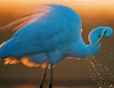 开云官网-卡斯泰尔主场顽强抗争，实力渐显过硬