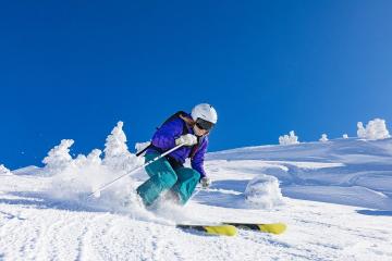 开云体育APP下载-东方巨兽觉醒，广厦跨洋收割雄鹿的篮球哲学