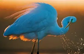 开云官网-卡斯泰尔主场顽强抗争，实力渐显过硬